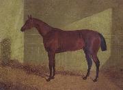 John Frederick Herring Margrave Winner of the st Leger oil painting artist